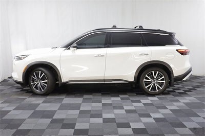 2023 INFINITI QX60 AUTOGRAPH AWD