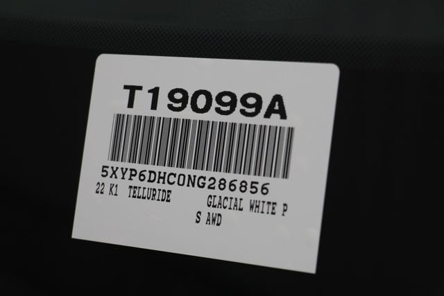 2022 Kia Telluride S